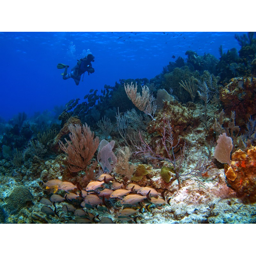 Grand Cayman 2023